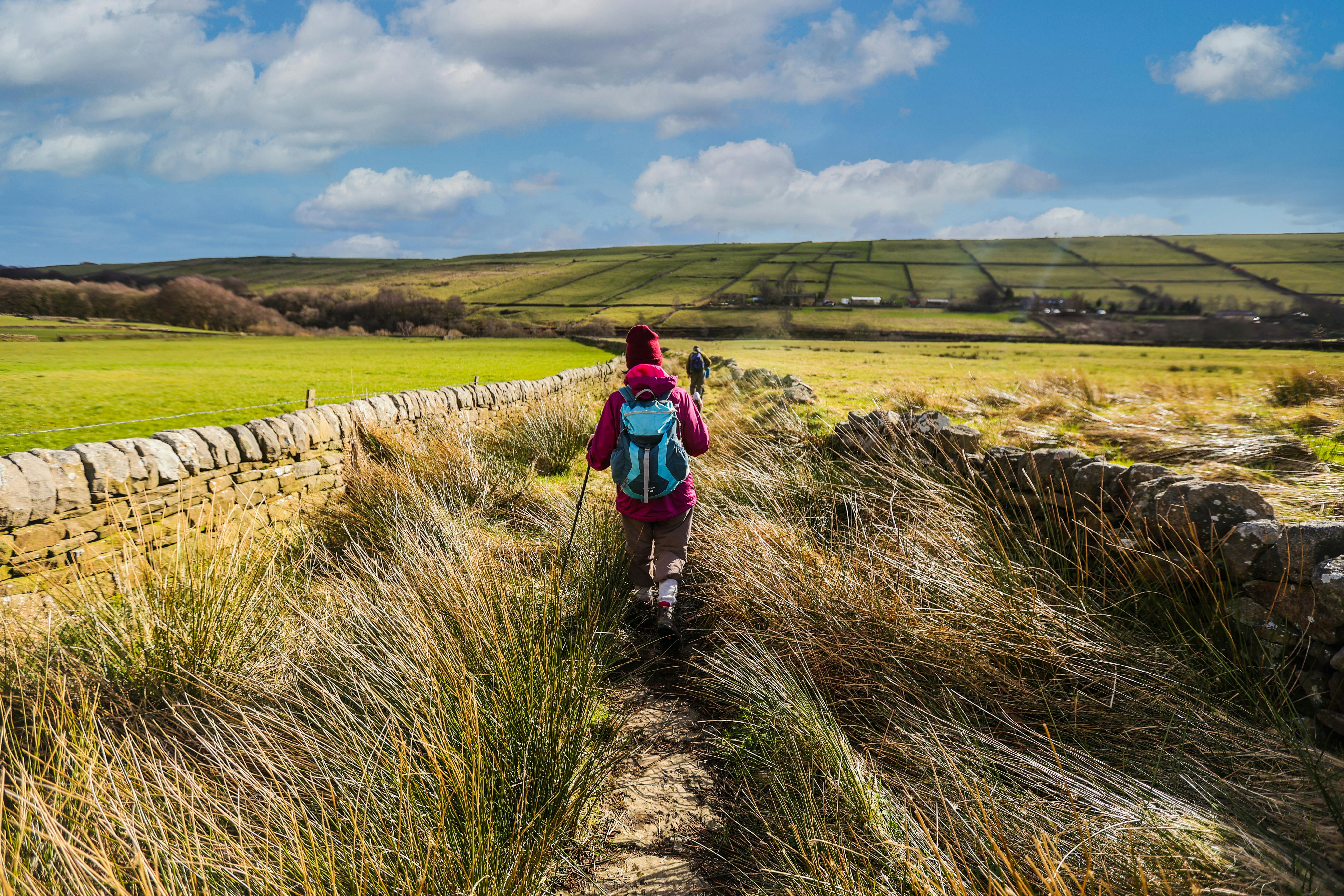 walker hiking along a stone wall footpath in the North York Moors National Park, Yorkshire